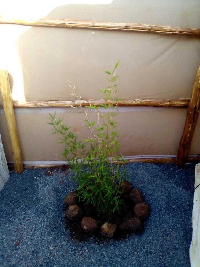 Amanya 1-Bed Leopard Tent Amboseli Luaran gambar